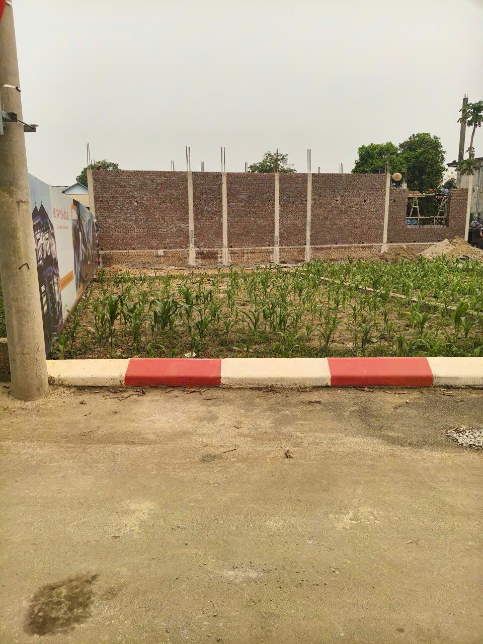 🏡 BÁN LÔ ĐẤT 85M2 FULL THỔ CƯ TẠI CHƯƠNG MỸ, HÀ NỘI
🚗 Đường rộng 2 xe ô tô tránh nhau, đi lại thuận lợi giá từ 1tỷ 3