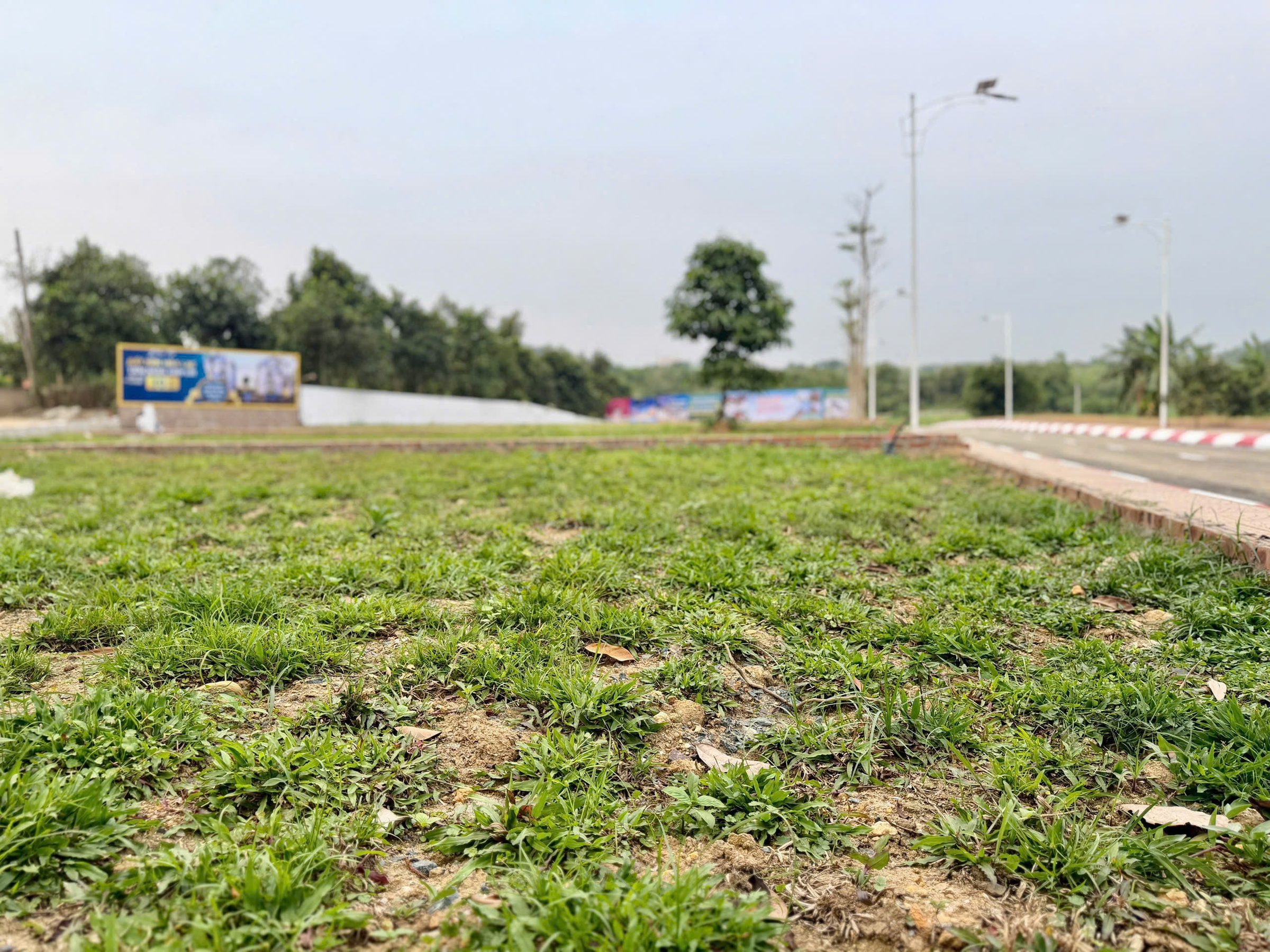 Hàng hiếm khu vực - giá mềm đầu tư.Lô đất đẹpchờ chủ mới chốt nhanh trong hôm nay