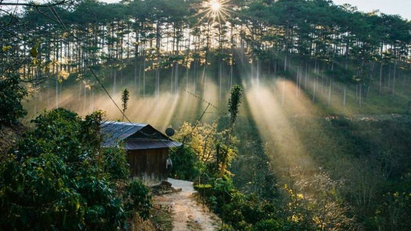 Chính chủ cần bán nhanh đất thổ cư Đơn Dương - Lâm Đồng, đường bên tông, cách QL27 500m; giá 800tr