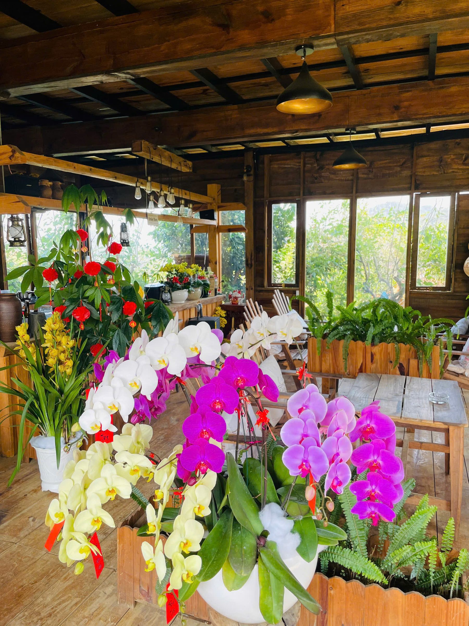 Cho thuê Homestay & coffee Da Sar, Lạc Dương 20 triệu/tháng