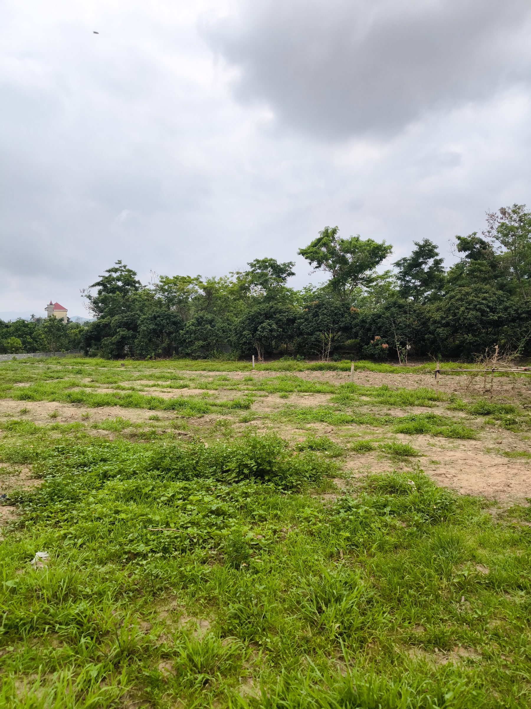 Bán 3.899m đất đô thị ở phường Phượng Sơn Bắc Ninh
Đất có sổ đỏ ,400 thổ cư,,phù hợp với XD kho cảng sông, xưởng SX và nhà máy.
Đây đủ tiện ích xq.
LH 0979733536