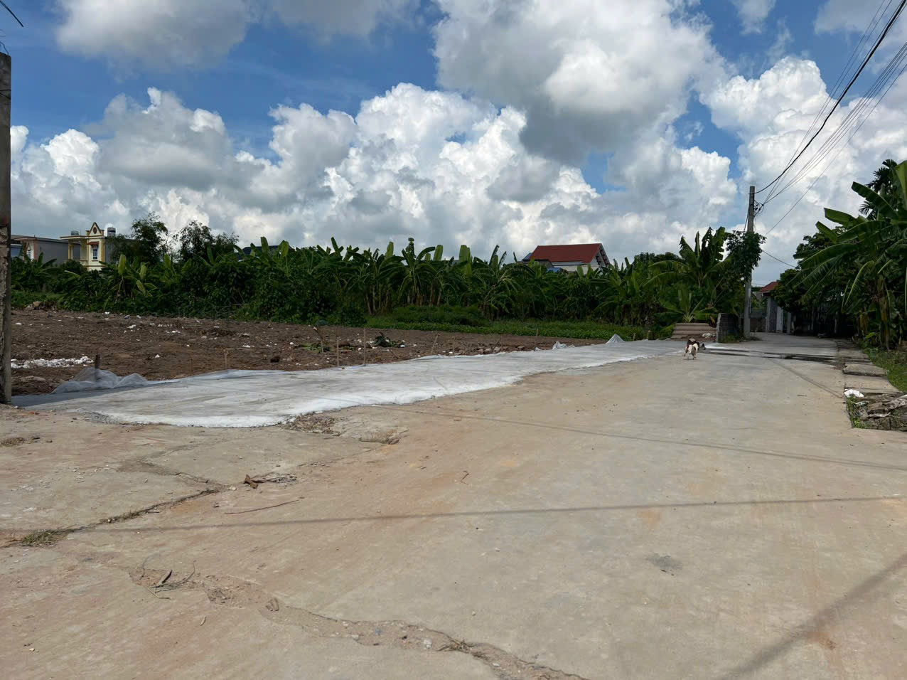 Bán đất đại sơn giá rẻ hơn thị trường chỉ 8.8tr/m2