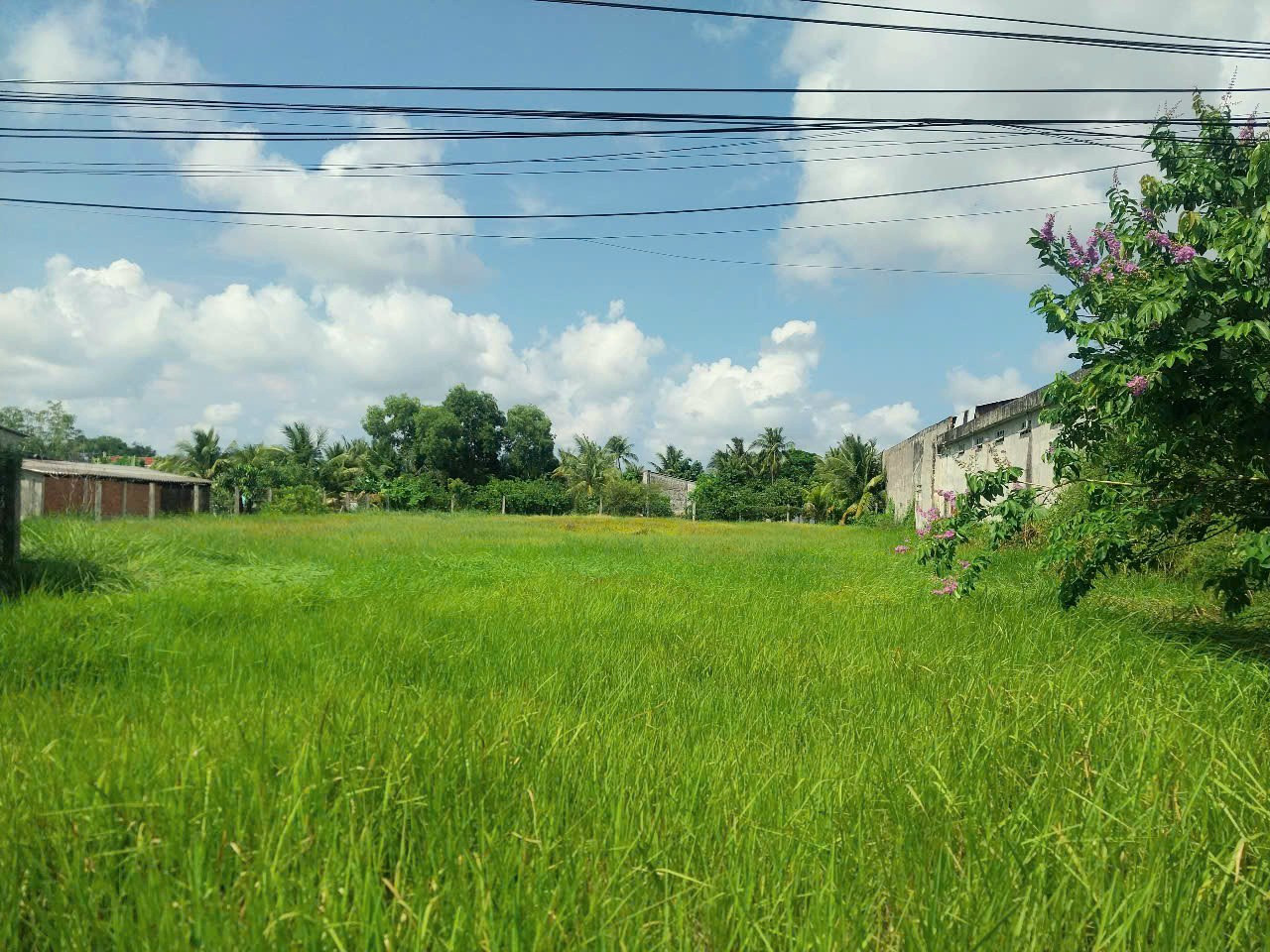 Bán đất mặt tiền QL57 Thị Trấn Thạnh Phú.