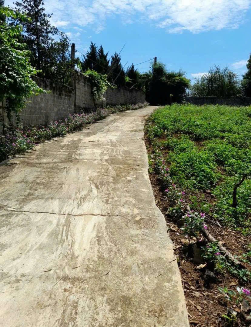 Chính chủ F0 cần cắt bán khoảng 200m có 200m ONT tại Thu Phong, Cao Phong, Hòa Bình