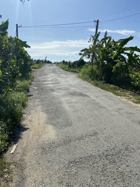 Bán Đất 24500m² giá 47.77 tỷ tại đường Quốc Lộ 61C Xã Nhơn Ái Huyện Phong Điền Cần Thơ