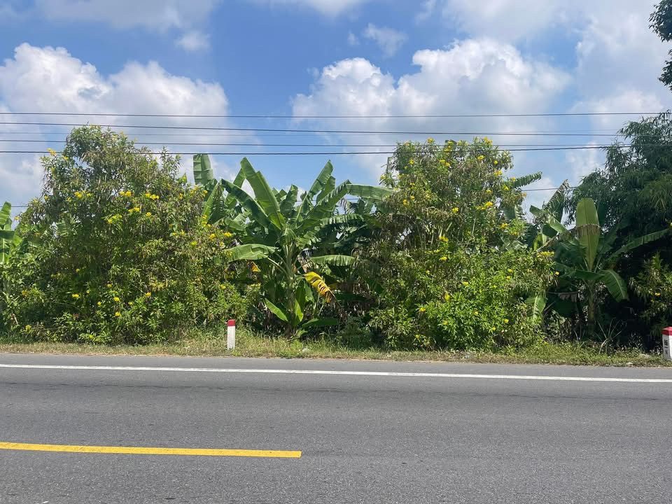 Bán đất 1700m² ngang 28.9m giá 1.6 tỷ tại Đường Quốc Lộ 61C Xã Tân Hòa