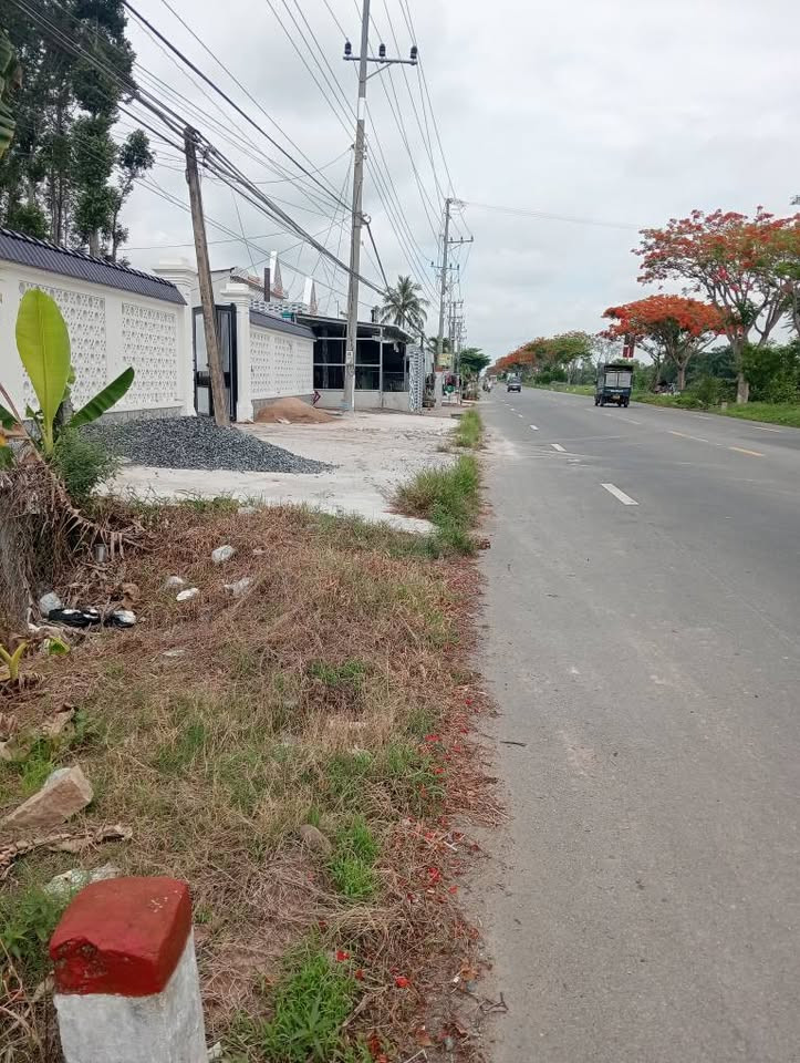 ĐẤT NỀN QUỐC LỘ 80 LẤP VÒ ĐỒNG THÁP