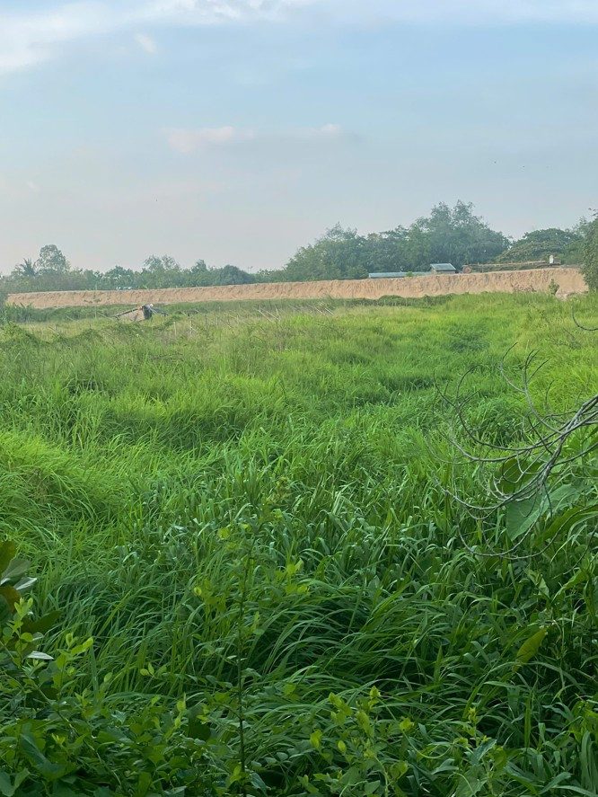 BÁN 3000M2 (15x200) - ĐẤT CÁI RĂNG, TP Cần Thơ - LỘ 91C 40m đang thi công - VIEW Sông gạch Ông Tiêm