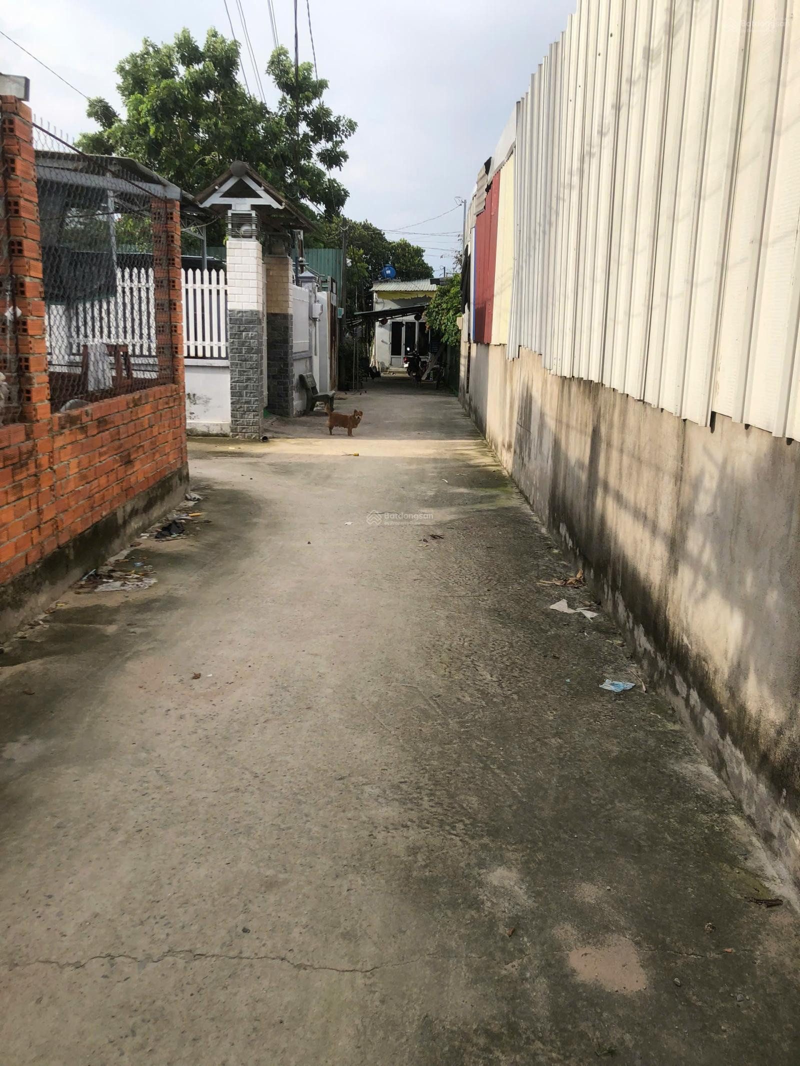 Bán đất 365m² ngang 8m giá 5.95 tỷ tại Đường Rỗng Bàng Xã Hóc Môn