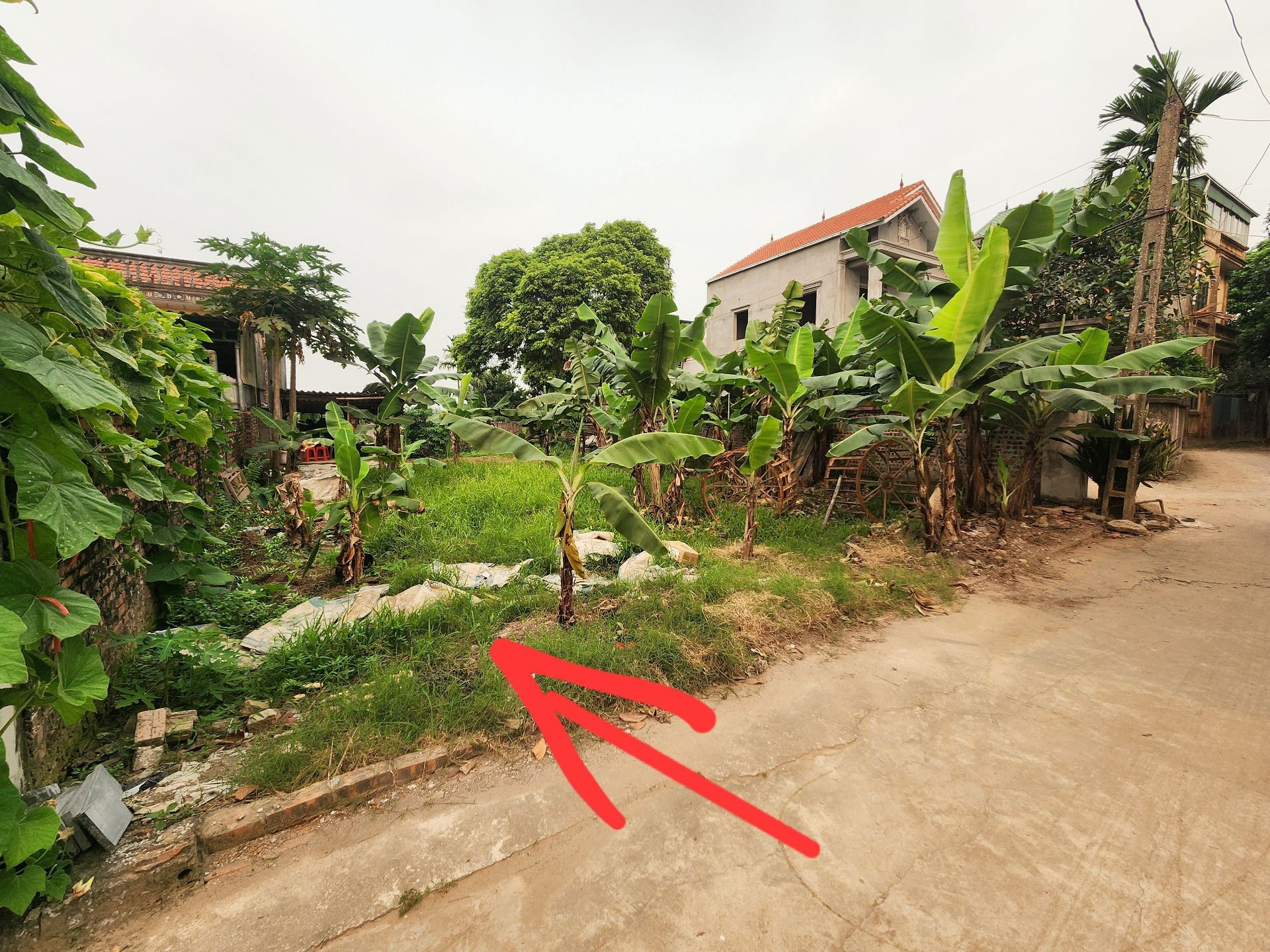 HÀNG KỊCH ĐỘC 📣 Ô TÔ TẢI VÀO ĐẤT - VUÔNG ĐÉT - 40M2 - NHỈNH 2 TỶ - NHANH MỚI KỊP