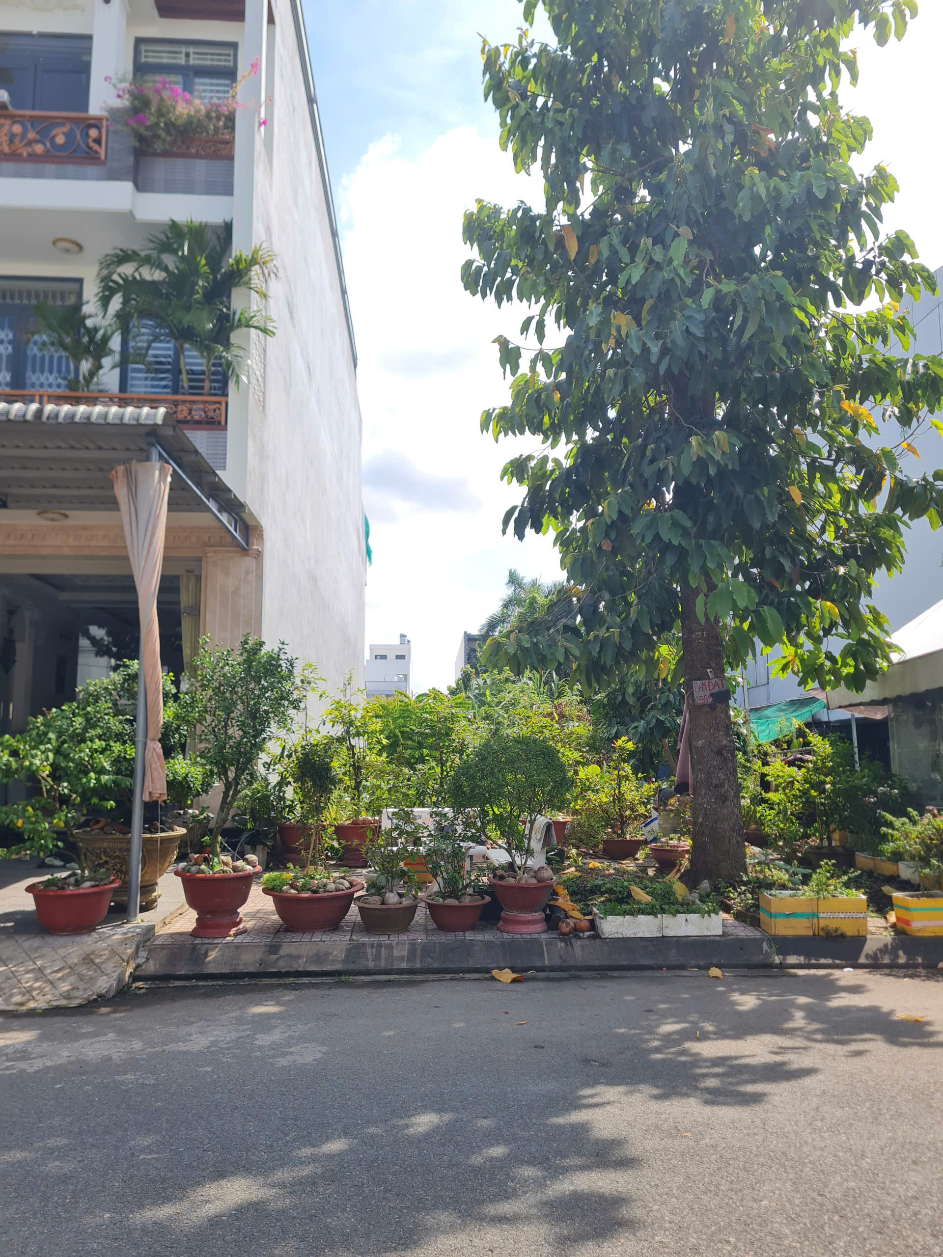BÁN NỀN KHU DÂN CƯ NÔNG THỔ SẢN
