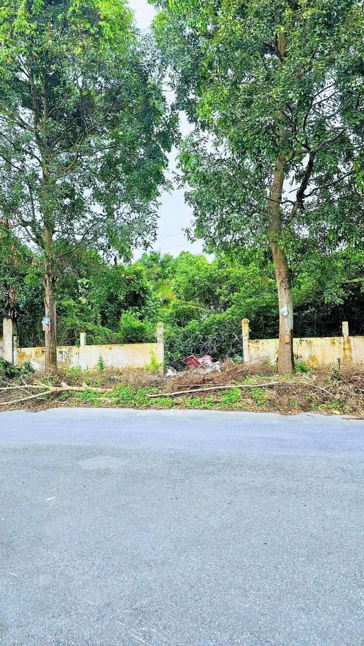 Bán Đất 400m² thổ cư 400m² giá 8 tỷ tại Đường số 11 Phường Hưng Phú Quận Cái Răng Cần Thơ