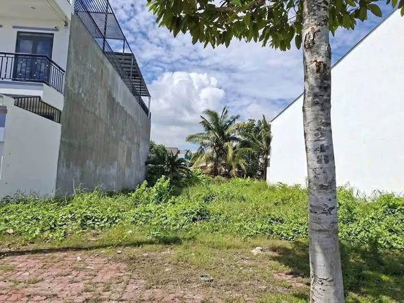 Bán đất 112.3m² full thổ cư ngang 4.5m giá 1.6 tỷ tại Đường Số 2 Khu dân cư Minh Linh, Phường Thanh Đức, tỉnh Vĩnh Long