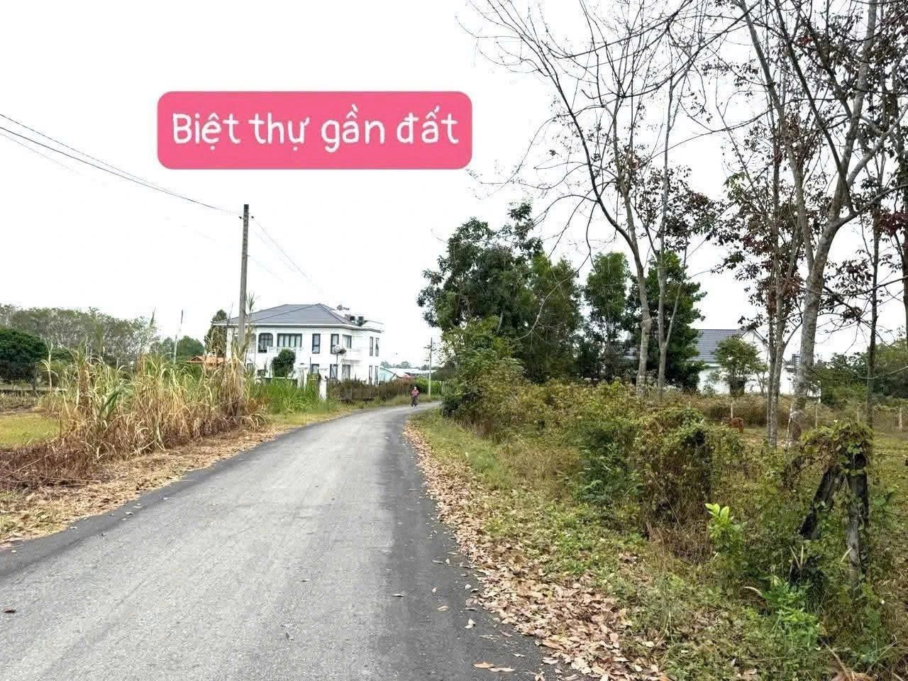 ĐẤT MT PHƯỚC VĨNH AN – LỘ GIỚI ĐƯỜNG 12M – CHỈ 1T8 TL