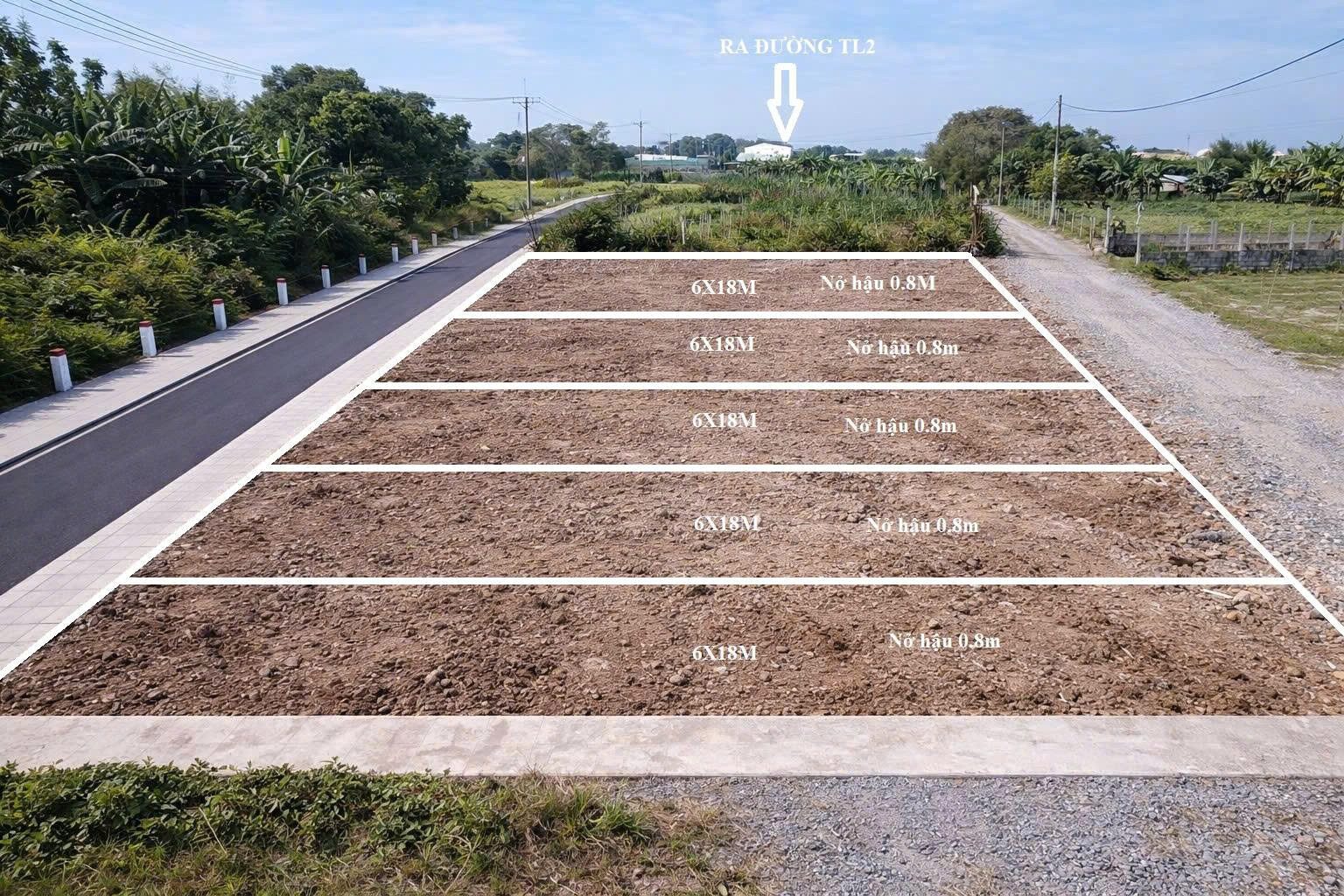 BÁN ĐẤT CỦ CHI, ĐẤT ĐẸP TÂN PHÚ TRUNG – GẦN NÚT GIAO HỒ VĂN TẮNG & NGUYỄN THỊ LẮNG CHỈ 1KM