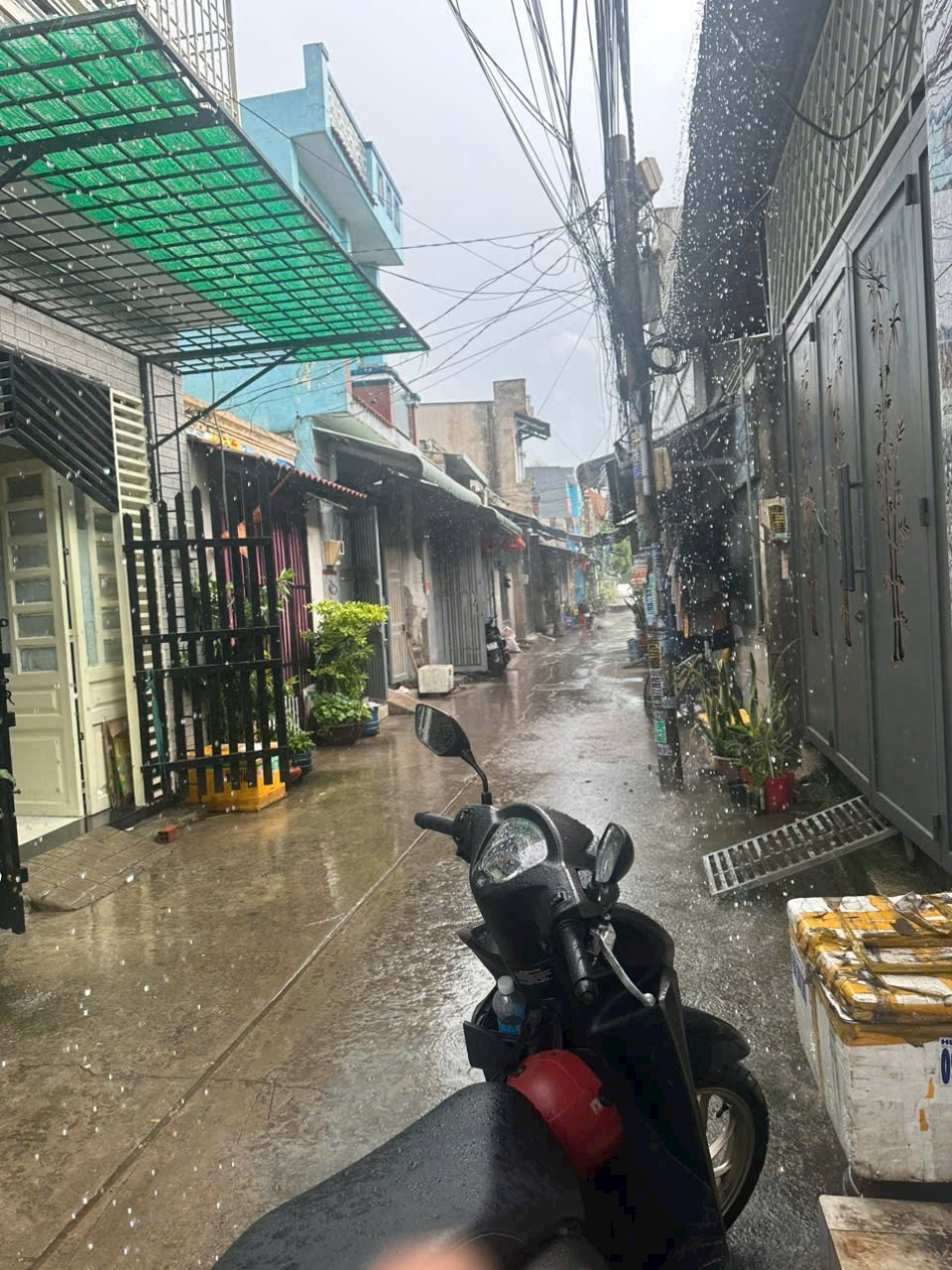 Bán Nhà riêng 36m² thổ cư 36m² giá 1.29 tỷ tại Đường số 3B Xã Vĩnh Lộc B Huyện Bình Chánh TP. Hồ Chí Minh