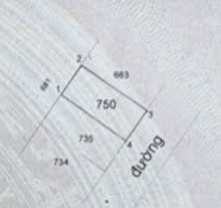 🌴 ĐẤT NỀN 53M2, NGANG 4.9M, VUÔNG VỨC, ĐƯỜNG Ô TÔ, GẦN CHỢ LONG PHƯỚC.(A)