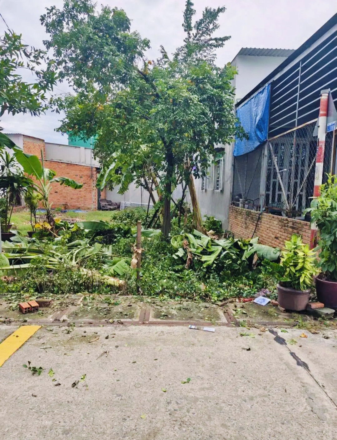 Đất thổ cư mặt tiền Bê tông sát chợ Tân Phú Trung xã Tân Phú Trung Củ Chi TPHCM, DT: 5x17,5m.