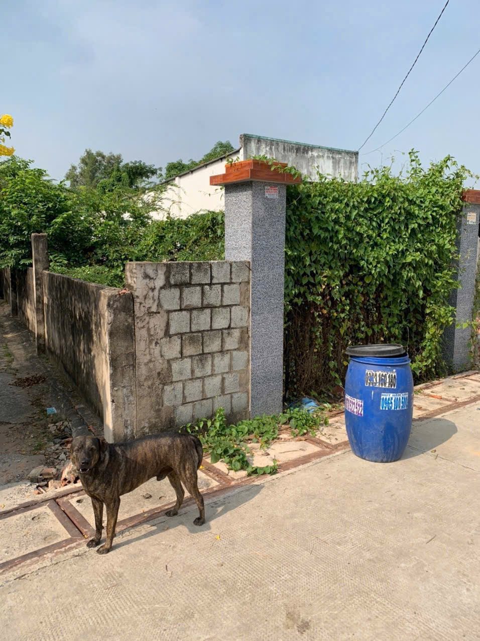 Đất Thổ cư 480m Hẻm Sông Lu