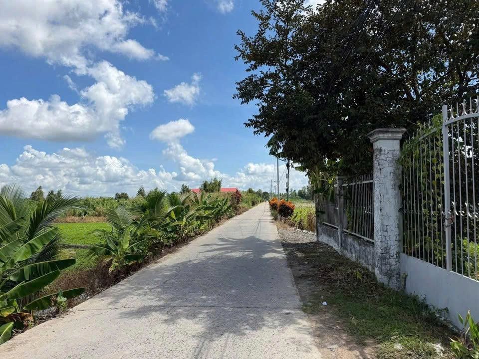 Hàng Ngôp Giá Tốt 750triệu Sổ hồng riêng bán nhanh Cănn hà ngay Tân Thông Hội Củ Chi