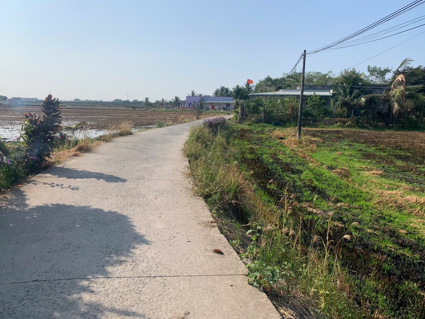 Ngộp