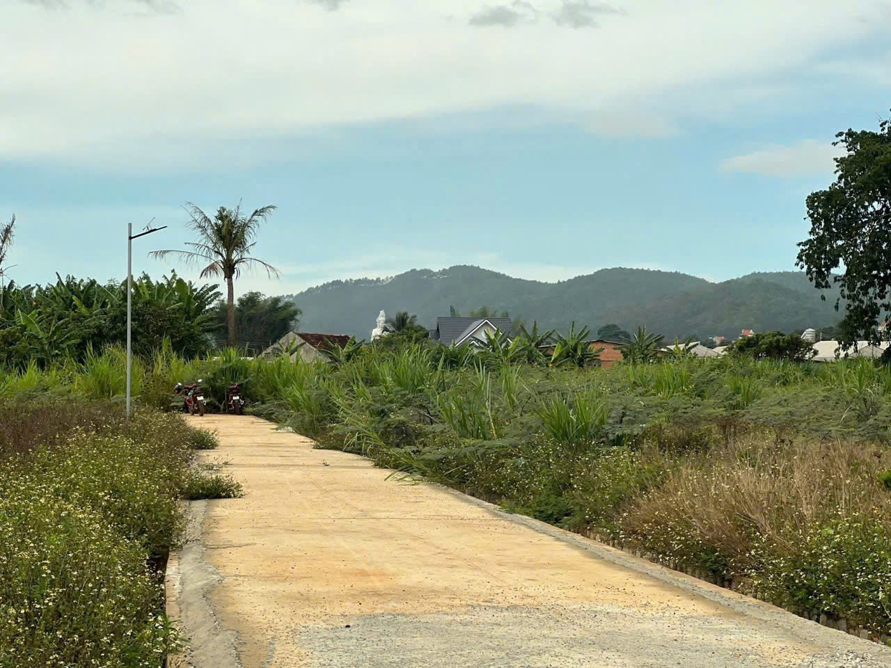 🔥 ĐẤT MẶT TIỀN ĐƯỜNG ~3,1 TRIỆ.U/M² – LÔ 495M² NGANG 17,1M 🔥