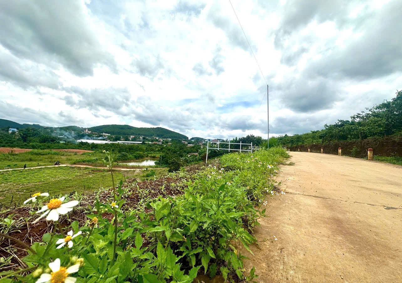 🎊 TẾT NÀY CÓ ĐẤT – SANG NĂM CÓ NHÀ | 398M² NGANG 15M