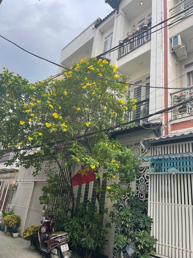✅✅ MỚI NHÀ ĐẸP NGANG 4M XÂY 3 LẦU + SÂN THƯỢNG HẺM 🚘 5M. NGAY ĐH CÔNG THƯƠNG.