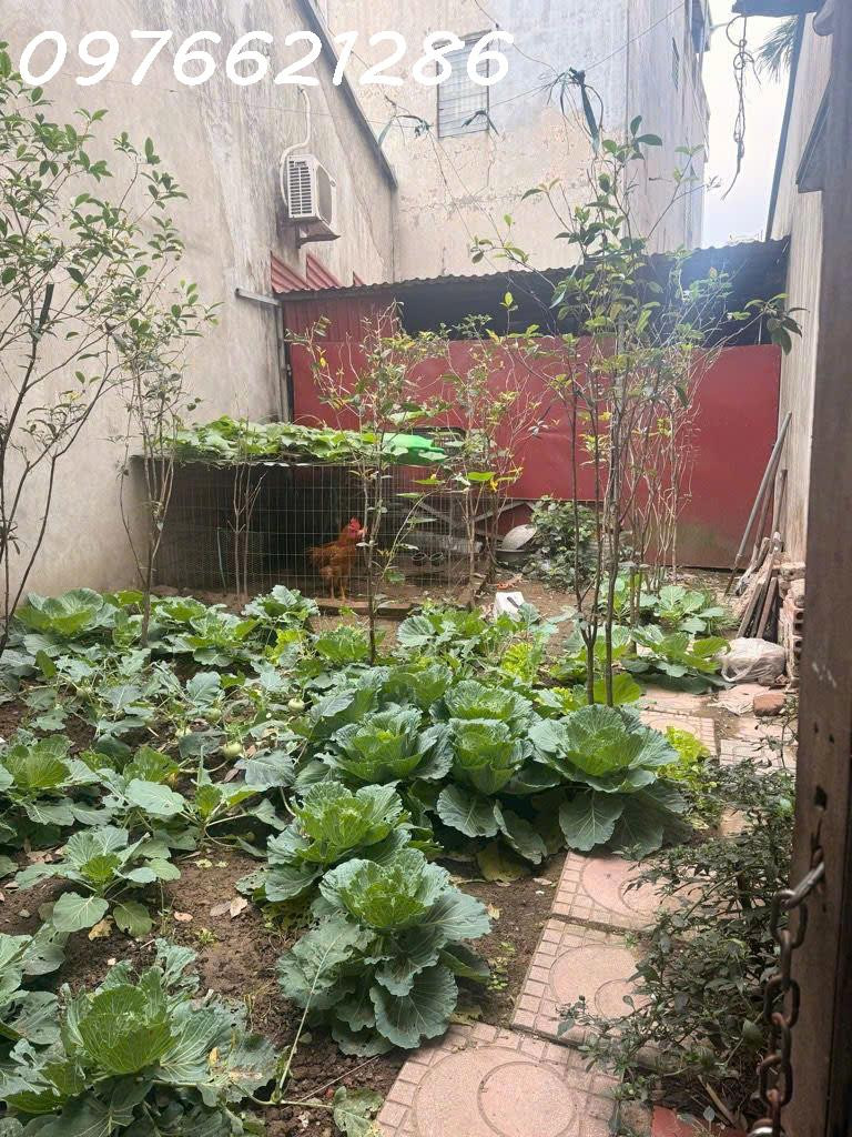 🏡 Bán đất Thanh Am – Long Biên – 40m² – Giá chỉ 5,2 tỷ