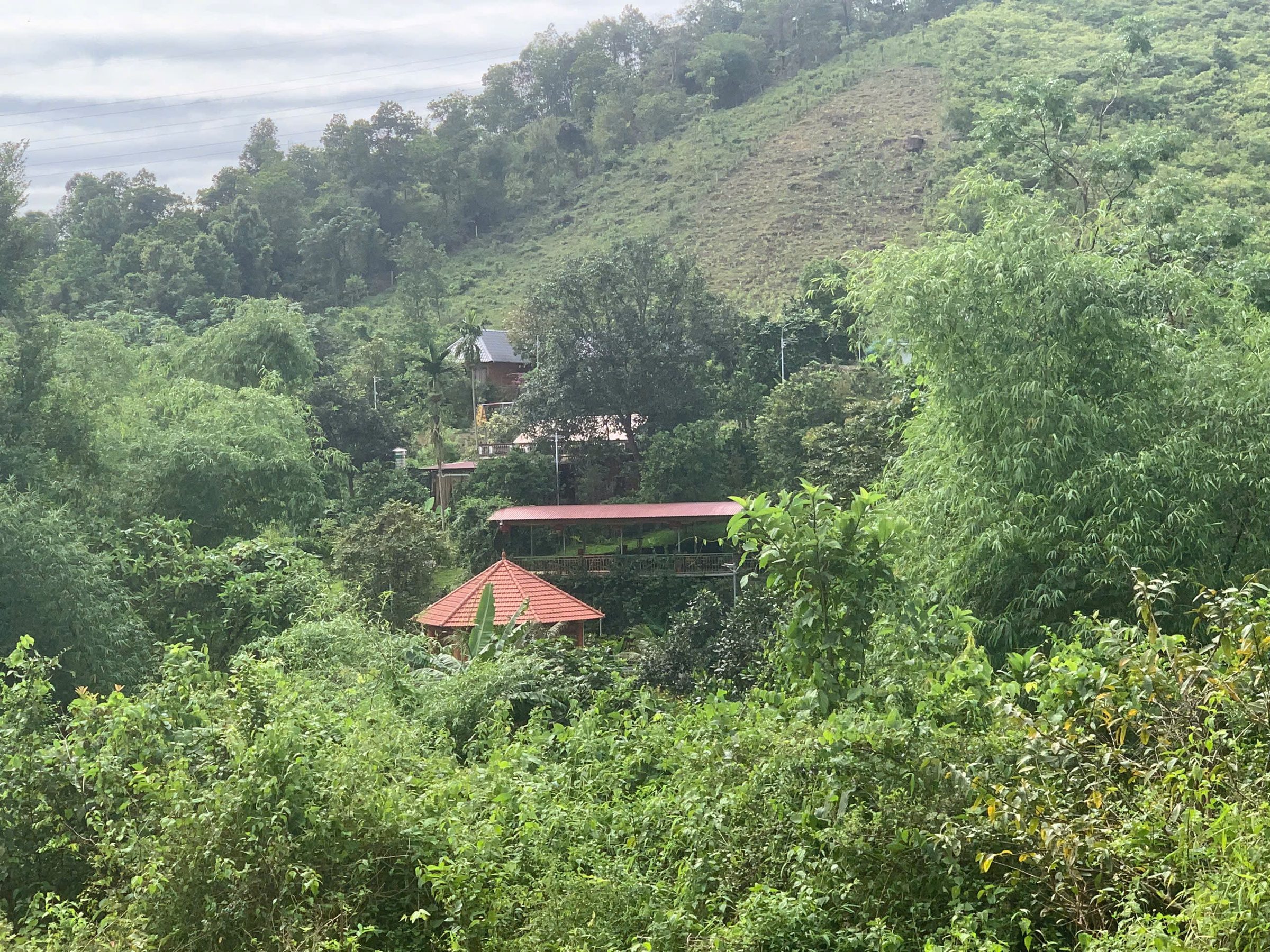 Đất vườn kèm thổ cư