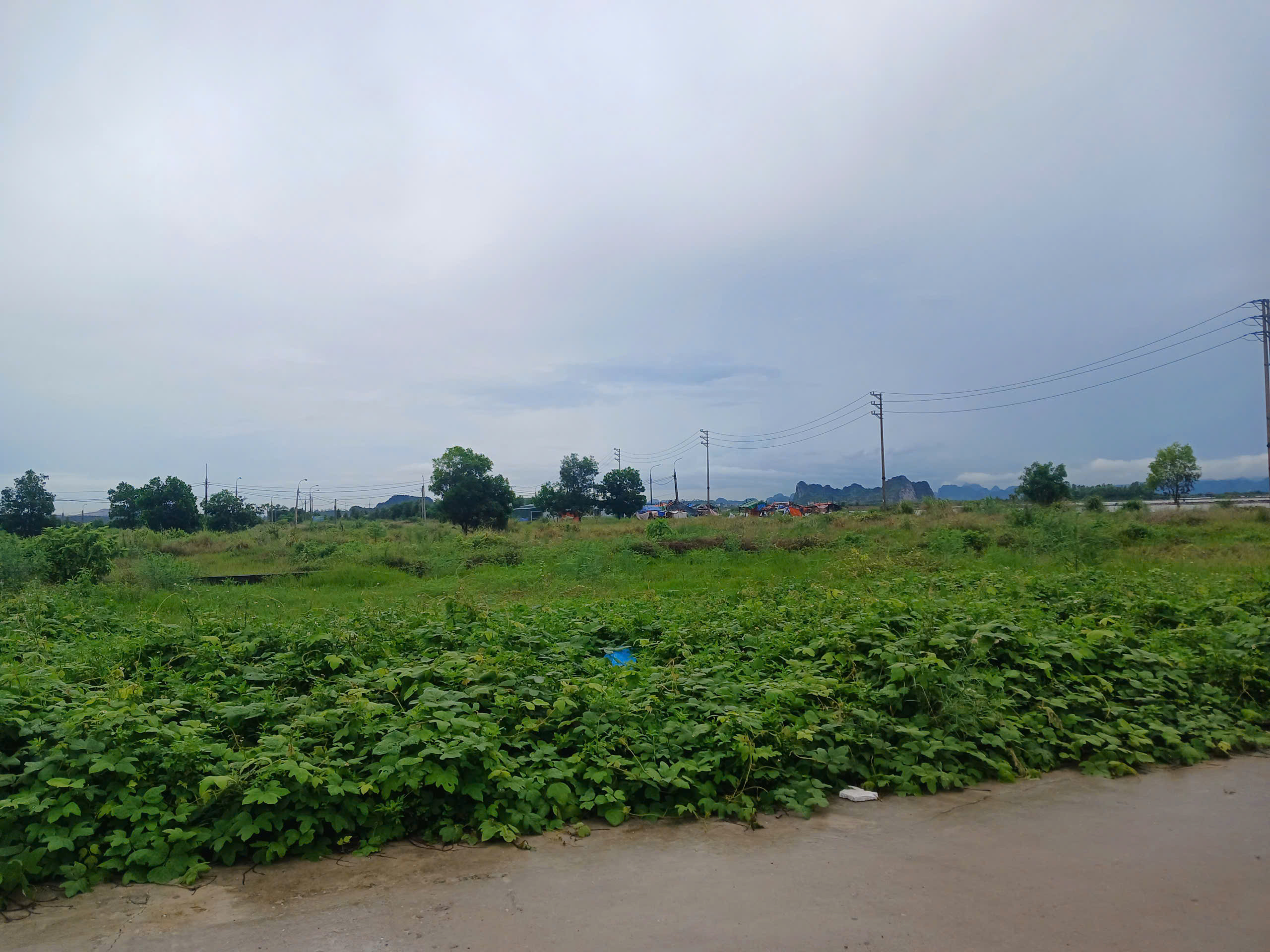 Bán đất mặt đường đôi Phường Tân An, Quảng Ninh,( nay thuộc Phường Hà An).