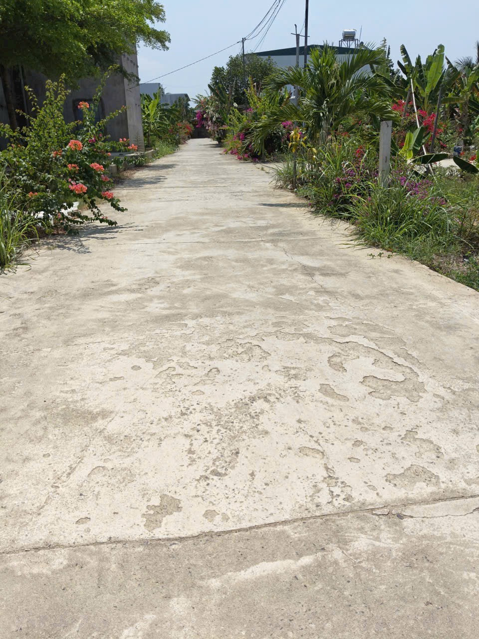 Bán  đất Lầu Ông Huyện Diên An
Cách 23/10 vào chỉ 150m
Đường hiện trạng bê tông 5m rộng thêng thang
Cách đường Lầu Ông Huyện chỉ 1 lô đất