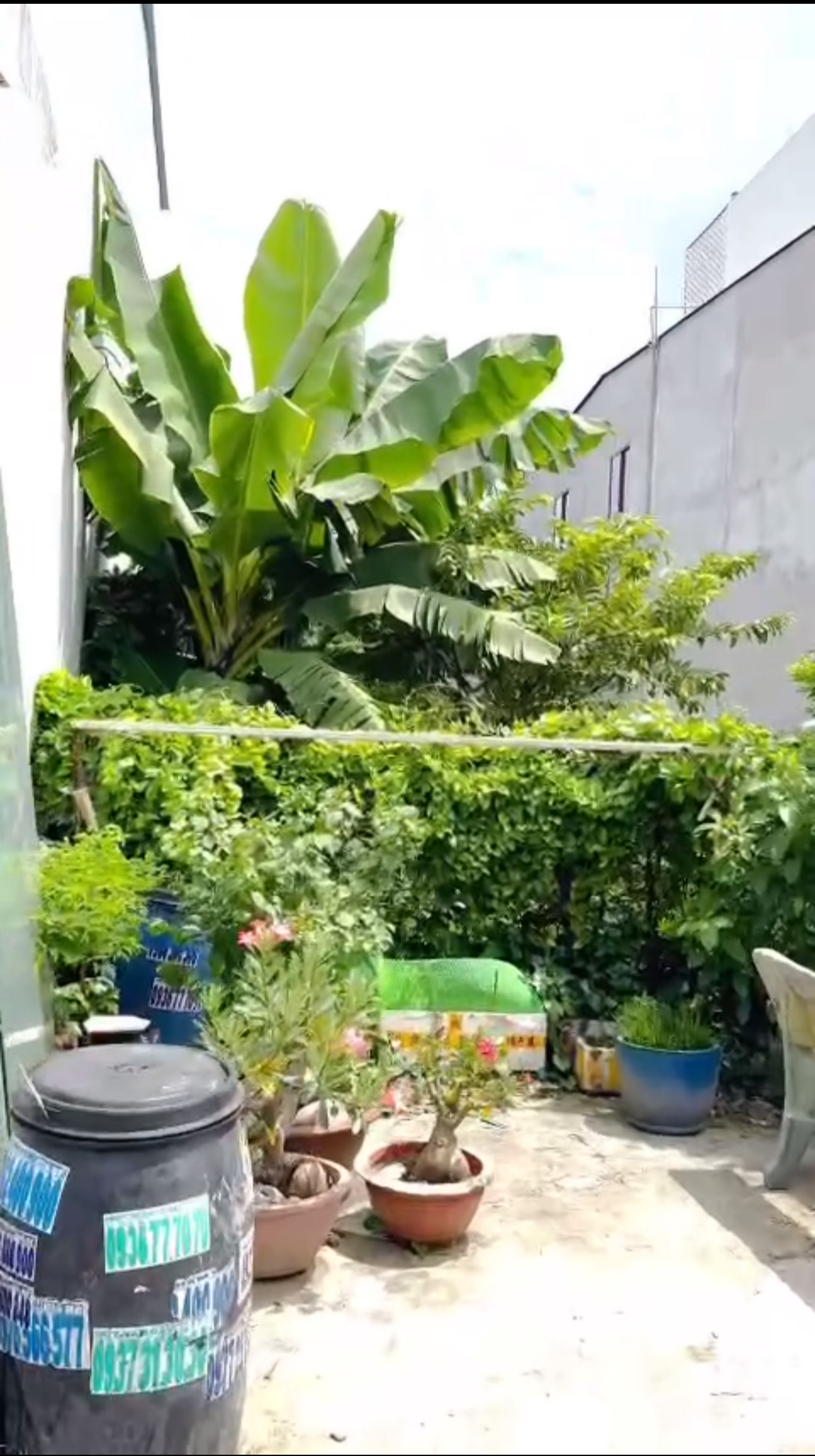 BÁN ĐẤT TT THỦ THỪA, LONG AN - 200m2 - GIÁ 4.4 TỶ - FULL ĐẤT Ở ĐÔ THỊ