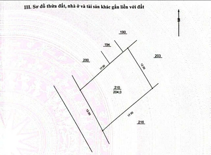 Bán đất 206.6m² ngang 12m giá 30 tỷ Phường Lĩnh Nam