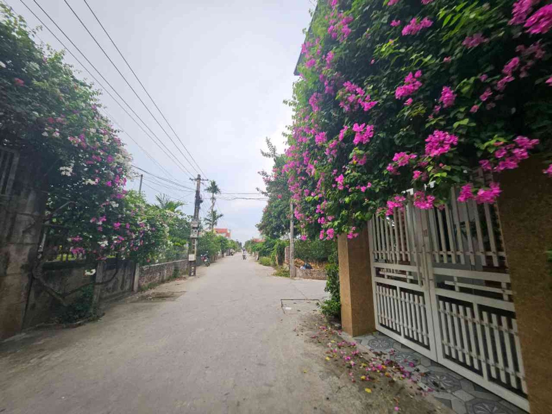 Bán Đất 68m2 có sẵn 68 m2 thổ cư giá 2.1 tỷ tại Đường Tỉnh 379 Xã Đông Tảo Huyện Khoái Châu Hưng Yên