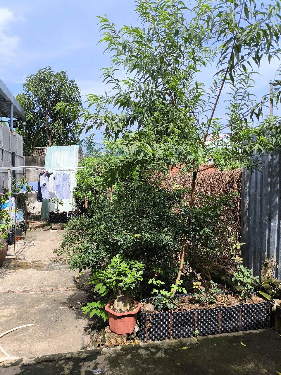 cần bán gấp lô đất tặng nhà