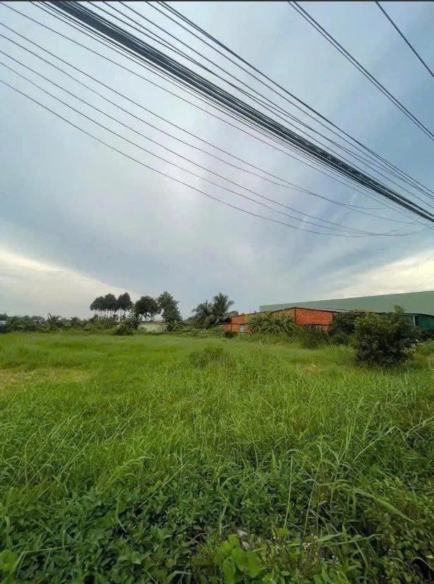 Bán đất mặt tiền Nguyễn Thông TL 827B Long An