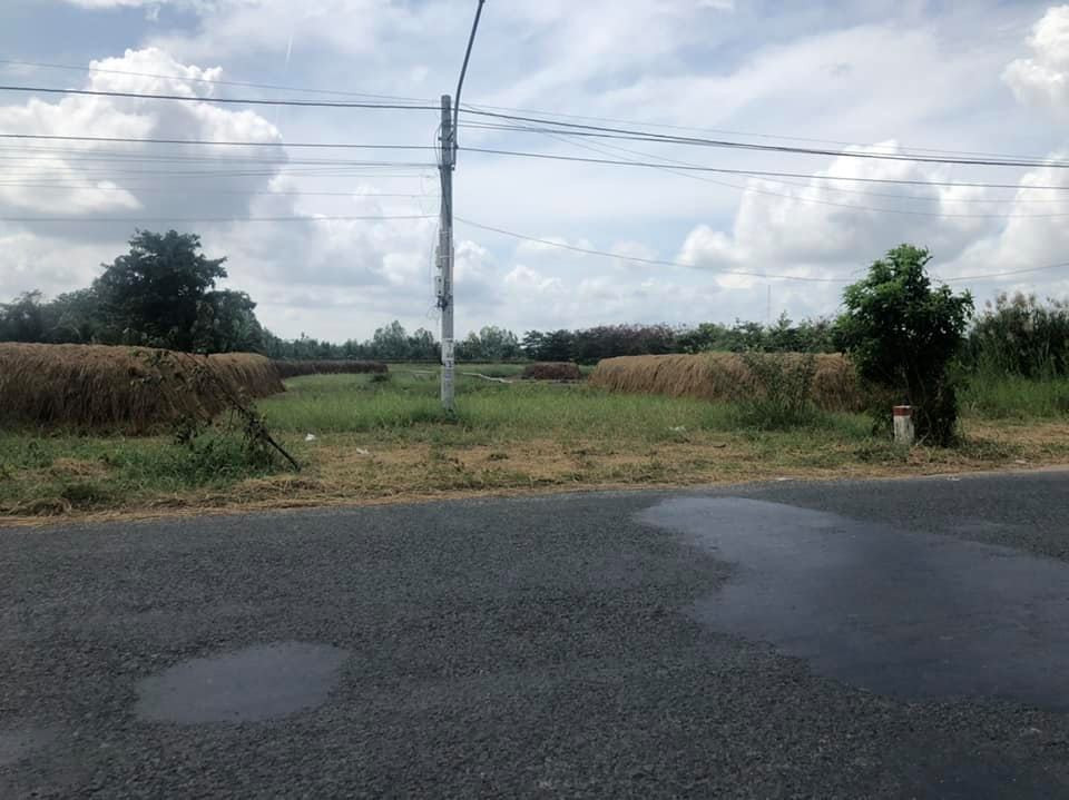 Bán đất thành phố Hoa Sa Đéc, xã Tân Quy Tây ,Sa Đéc, Đồng Tháp