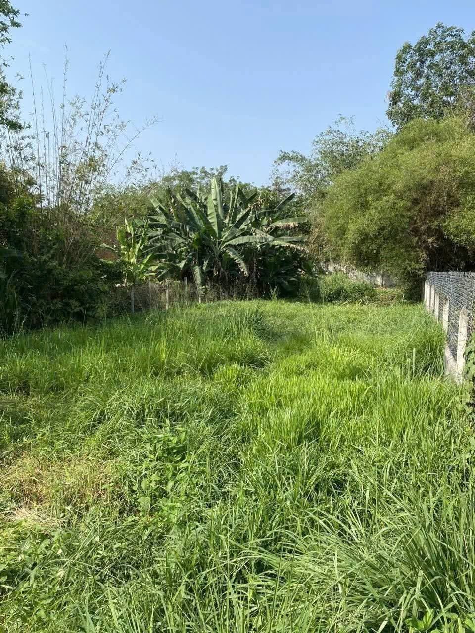 Bán đất thổ cư 2/ngắn đường Tỉnh Lộ 15 trung tâm xã An Phú Củ Chi TPHCM, DT: 10x47m.