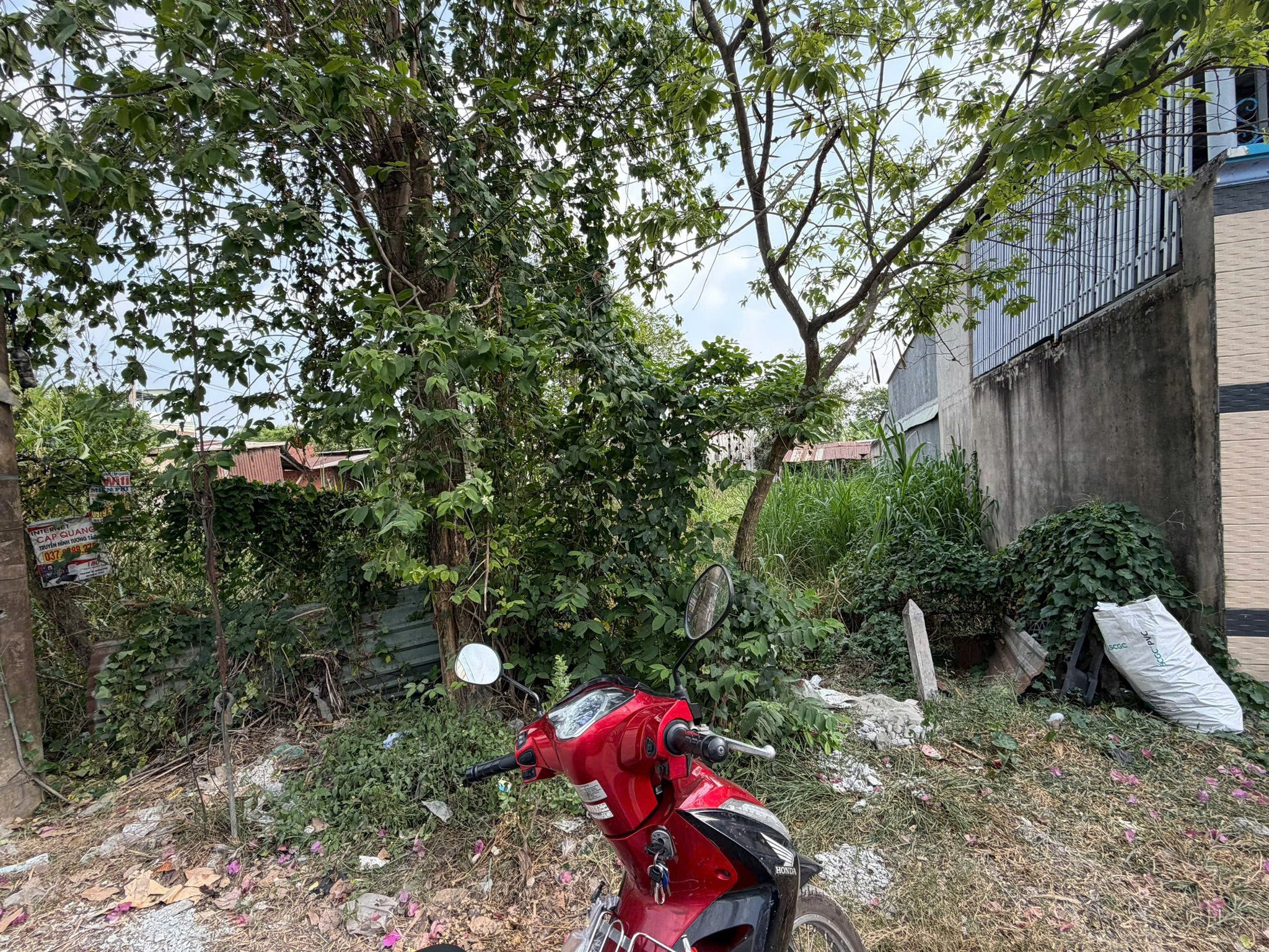 🔥 MẶT TIỀN TỈNH LỘ 15 – 161m² CHỈ 550 TRIỆU, TÂN THẠNH ĐÔNG CỦ CHI 🔥