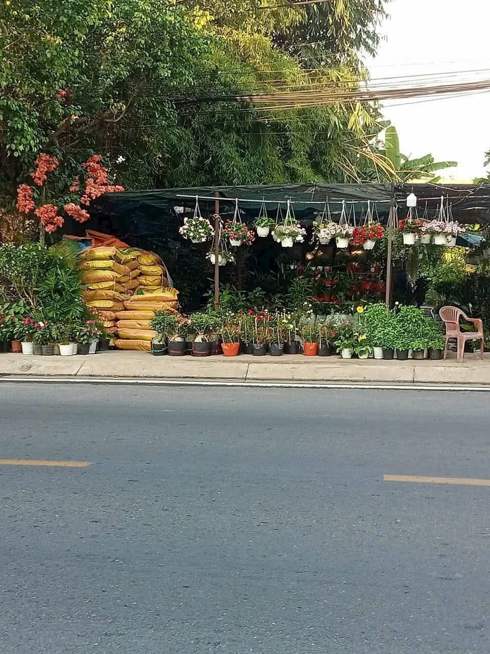 Bán đất thổ cư mặt bằng kinh doanh MT Tỉnh Lộ 15 trung tâm xã Trung An Củ Chi TPHCM, DT: 7x64m.