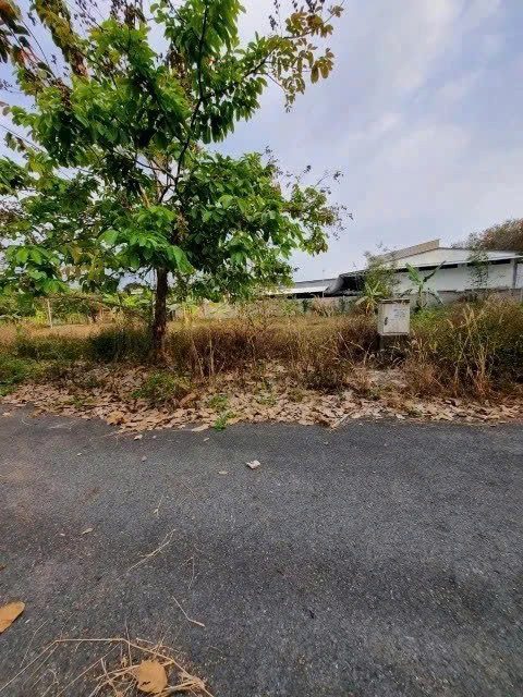 ĐẤT NỀN GIÁ TỐT TẠI CỦ CHI – GẦN CITY ZOO, PHƯỚC VĨNH AN – 125,6m² – GIÁ 1,79 TỶ