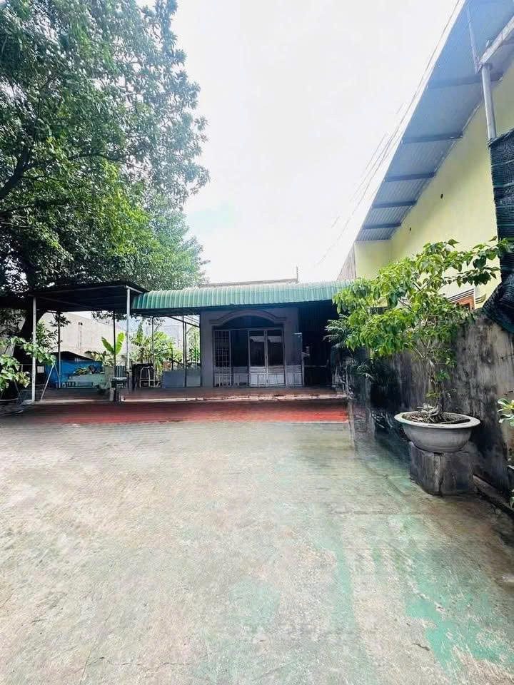 🏠NHÀ VƯỜN NGHỈ DƯỠNG KẸT TIỀN SANG LẠI CHO NGƯỜI SAU GIÁ 1TI150 TRIỆU.