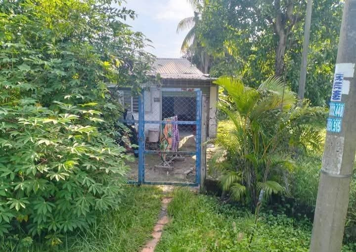 Bán nhà vườn đường xe Tải 1/Tỉnh Lộ 2 xã Trung Lập Thượng Củ Chi TPHCM, DT: 33x55m.