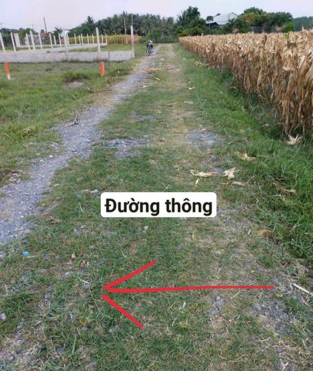 Bán Đất 535m2 có sẵn 100 m2 thổ cư giá 1.9 tỷ tại Đường Tỉnh Lộ 2 Xã Trung Lập Thượng Huyện Củ Chi TP. Hồ Chí Minh