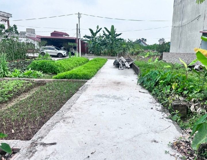 Đất đông tảo khoái Châu giá chỉ hơn 1 tỷ gần chợ đầu mối đông tảo
