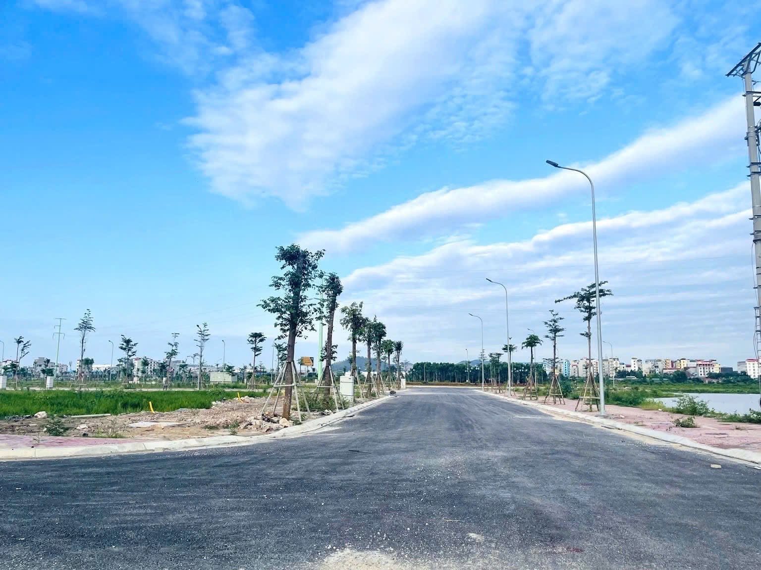Bán mảnh đất phân lô mặt tỉnh lộ 295B ngay KCN Quang Châu Nếnh Bắc Ninh