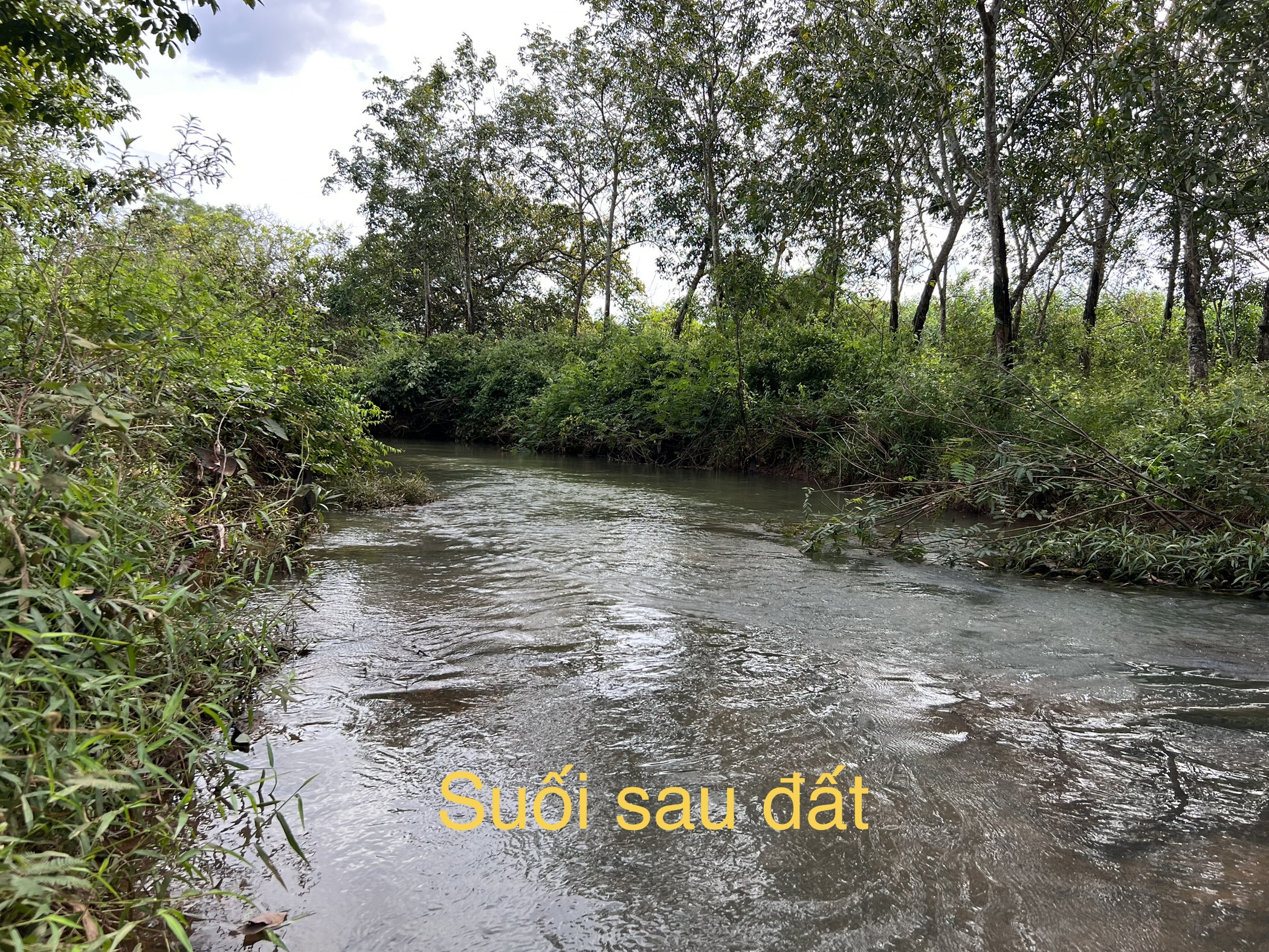 Bán view nghỉ dưỡng Hoà Hội, Tp.HCM chỉ 3ty