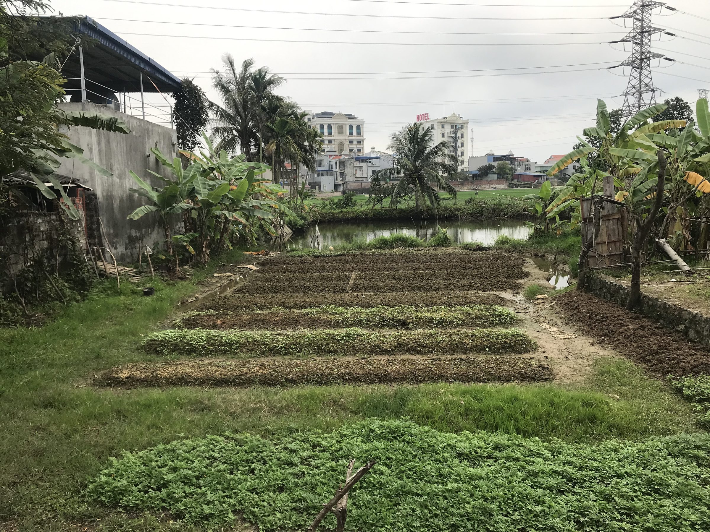 Đất tại sông Giá
