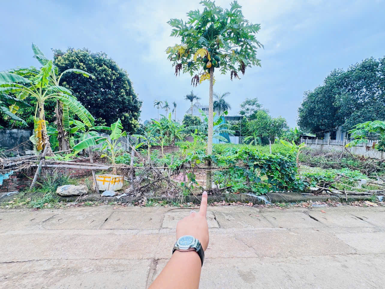 ĐẤT TRUNG TÂM HÒA LẠC – ĐỐI DIỆN KHU CÔNG NGHỆ CAO – FULL THỔ CƯ – SẴN SỔ HỒNG